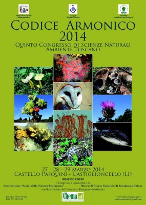 1001538_704895979561558_1357166476_n.jpg (110.2 KiB) Osservato 1074 volte 1001538_704895979561558_1357166476_n.jpg