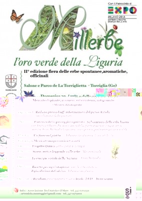 millerbe14.jpg (335.95 KiB) Osservato 794 volte millerbe14.jpg