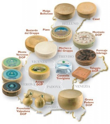 formaggi-veneto.jpg (44.45 KiB) Osservato 698 volte formaggi-veneto.jpg