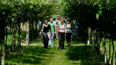 magnalonga.jpg (77.96 KiB) Osservato 568 volte magnalonga.jpg