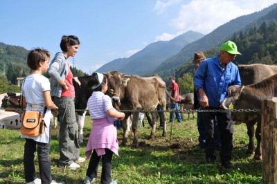 Redirect.aspx.jpg (201.29 KiB) Osservato 610 volte Redirect.aspx.jpg