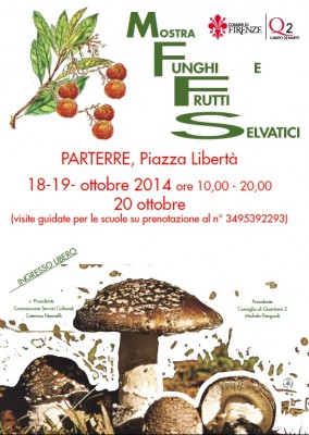 funghi.jpg (153.68 KiB) Osservato 532 volte funghi.jpg