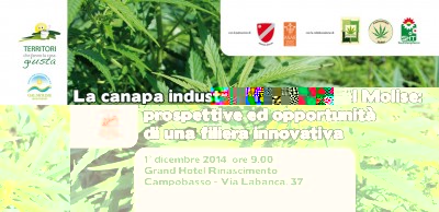 fronte.jpg (519.96 KiB) Osservato 613 volte fronte.jpg