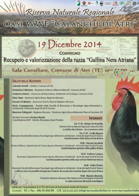 Convegno Gallina nera 19 Dicembre 2014.jpg (161.67 KiB) Osservato 869 volte Convegno Gallina nera 19 Dicembre 2014.jpg