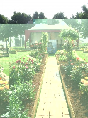 CIMG0007.JPG (443.73 KiB) Osservato 603 volte CIMG0007.JPG