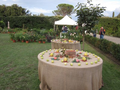 botanica rid.jpg (1.04 MiB) Osservato 678 volte botanica rid.jpg
