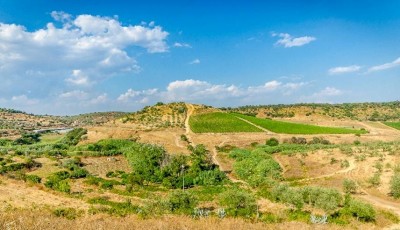 unnamed.jpg (74.64 KiB) Osservato 568 volte unnamed.jpg