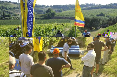 Romagna in Campo a Cesena.jpg (751.06 KiB) Osservato 6599 volte Romagna in Campo a Cesena.jpg