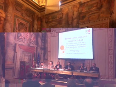 Riforma degli enti agricoli Sala Zuccari Palazzo Giustiniani.jpg (108.08 KiB) Osservato 6555 volte Riforma degli enti agricoli Sala Zuccari Palazzo Giustiniani.jpg