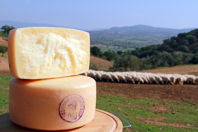 PecorinoDOC113.jpg (701.24 KiB) Osservato 776 volte PecorinoDOC113.jpg