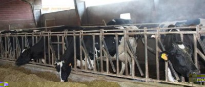 1.jpg (29.11 KiB) Osservato 1418 volte 1.jpg