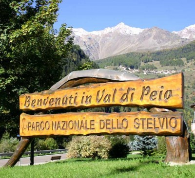 stelvio_imagefullwide.jpg (200.77 KiB) Osservato 1239 volte stelvio_imagefullwide.jpg