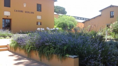 Casone Ugolino_Location di T-Wine domenica 24 aprile.jpg (256.1 KiB) Osservato 2969 volte Casone Ugolino_Location di T-Wine domenica 24 aprile.jpg