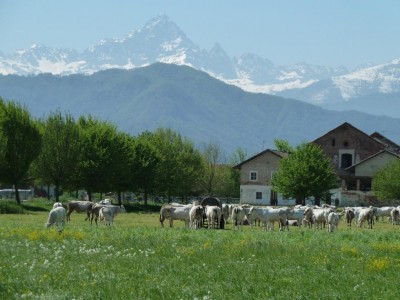 P1030576.JPG (109.05 KiB) Osservato 1429 volte P1030576.JPG