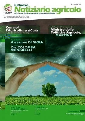 copertina_Notiziario_CondifesaFoggia_WEB.jpg (87.22 KiB) Osservato 3816 volte copertina_Notiziario_CondifesaFoggia_WEB.jpg