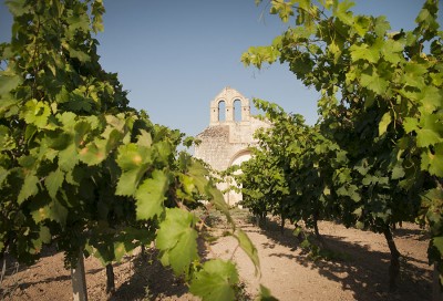 vigneto2.jpg (216.99 KiB) Osservato 5717 volte vigneto2.jpg