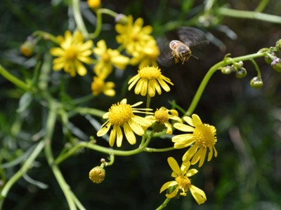 23073_141_PNGSL.jpeg (96.91 KiB) Osservato 1302 volte 23073_141_PNGSL.jpeg