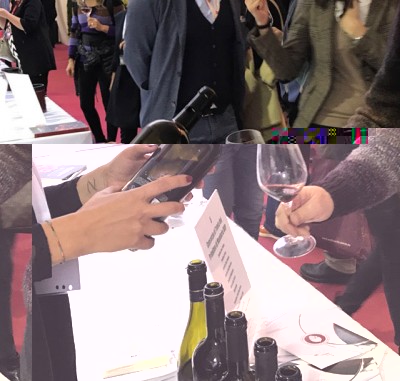 merano4.jpg (109.92 KiB) Osservato 2392 volte merano4.jpg