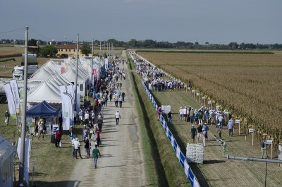 DSC_0454.jpg (226.23 KiB) Osservato 2952 volte DSC_0454.jpg