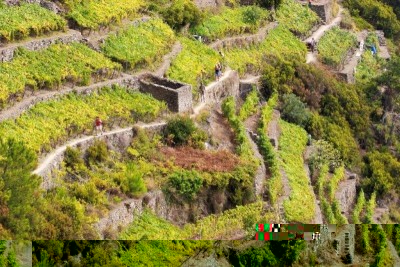 PN5TRnov43679-img2.jpg (134.54 KiB) Osservato 1047 volte PN5TRnov43679-img2.jpg