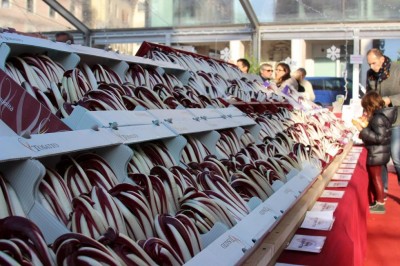 IMG_4781.JPG (117.46 KiB) Osservato 3960 volte IMG_4781.JPG