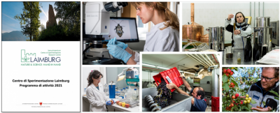 Laimburg.png (554.84 KiB) Osservato 1155 volte Laimburg.png