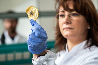 image001.png (594.56 KiB) Osservato 799 volte image001.png