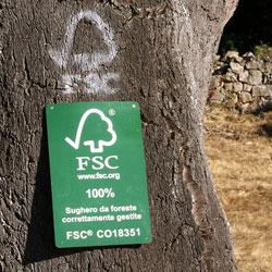 sughero.jpg sughero.jpg