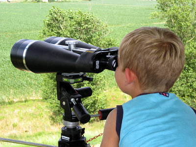 Il giorno della cicogna 02.JPG (373.06 KiB) Osservato 3176 volte Il giorno della cicogna 02.JPG