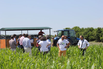 Sopralluogo-Condifesa-Veneto-VAllevecchia.jpg (164.25 KiB) Osservato 2455 volte Sopralluogo-Condifesa-Veneto-VAllevecchia.jpg