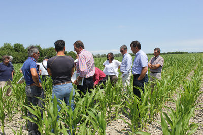 Sopralluovo-Condifesa-veneto-Vallevecchia_2.jpg (152.72 KiB) Osservato 2337 volte Sopralluovo-Condifesa-veneto-Vallevecchia_2.jpg