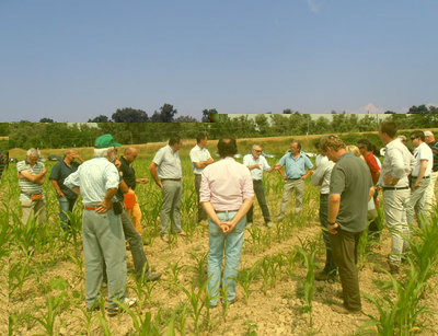 Perizia-collegiale-Mais_01.jpg (102.25 KiB) Osservato 2212 volte Perizia-collegiale-Mais_01.jpg