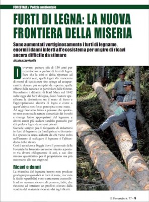 1900633_250402105139992_150762433_o.jpg (76.18 KiB) Osservato 620 volte 1900633_250402105139992_150762433_o.jpg