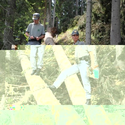 1907325_280775698769299_3802915590912057528_n.jpg (145.69 KiB) Osservato 906 volte 1907325_280775698769299_3802915590912057528_n.jpg