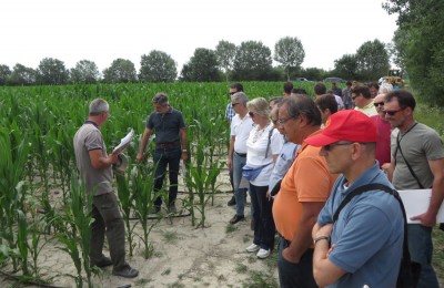 Giornata-dimostrativa_Vallevecchia-2014_2.jpg (142.61 KiB) Osservato 2053 volte Giornata-dimostrativa_Vallevecchia-2014_2.jpg