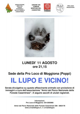 Copia di lupo moggiona.jpg (95.61 KiB) Osservato 778 volte Copia di lupo moggiona.jpg