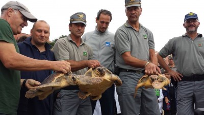 1926878_330258837154318_4040439953199351012_n.jpg (68.69 KiB) Osservato 737 volte 1926878_330258837154318_4040439953199351012_n.jpg