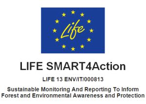 Clipboard01.jpg Clipboard01.jpg