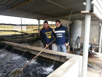 anguille.jpg anguille.jpg