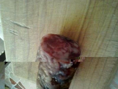 20160125_115303.jpg (163.87 KiB) Osservato 2259 volte 20160125_115303.jpg