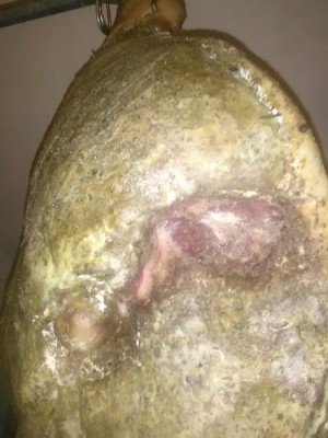 347bk79.jpg (192.49 KiB) Osservato 7904 volte 347bk79.jpg