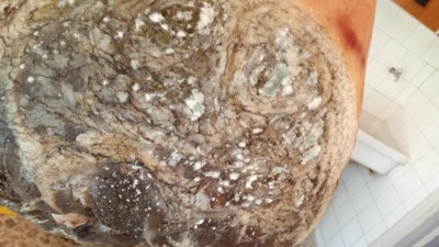 IMG_20170309_101345.jpg (86.15 KiB) Osservato 7286 volte IMG_20170309_101345.jpg