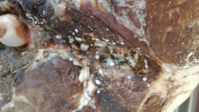 IMG_20170309_101358.jpg (75.14 KiB) Osservato 7286 volte IMG_20170309_101358.jpg