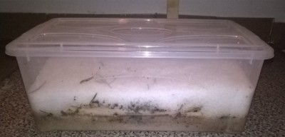 colonnata.jpg (34.7 KiB) Osservato 1771 volte colonnata.jpg