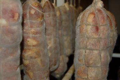 Piumatura prod_2010-12-12_29.jpg (84.83 KiB) Osservato 2126 volte Piumatura prod_2010-12-12_29.jpg