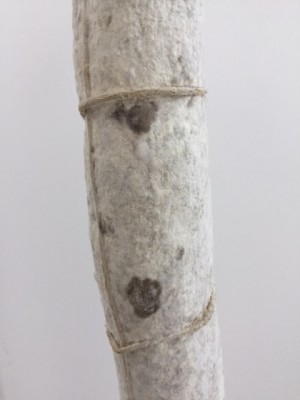 IMG_6285.JPG (82.49 KiB) Osservato 2358 volte IMG_6285.JPG