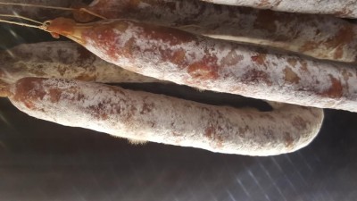 muffe con ramificazione piu lunghe / 20180620_092457.jpg 20180620_092457.jpg