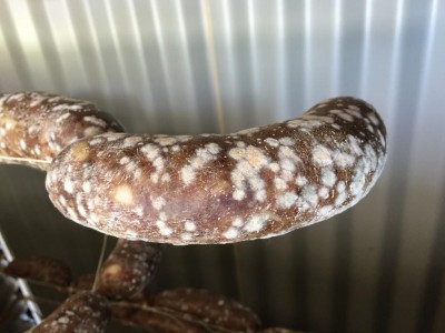 149CE285-E941-479E-96FF-384057FECA0C.jpeg (77.81 KiB) Osservato 802 volte 149CE285-E941-479E-96FF-384057FECA0C.jpeg