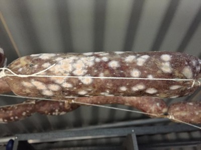 07A60DBC-94F5-425C-83E7-6DFAC123957E.jpeg (76.93 KiB) Osservato 749 volte 07A60DBC-94F5-425C-83E7-6DFAC123957E.jpeg