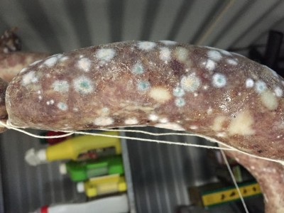 B78BBB89-1EB6-4167-AA9F-60A42A826CBA.jpeg (91.18 KiB) Osservato 749 volte B78BBB89-1EB6-4167-AA9F-60A42A826CBA.jpeg